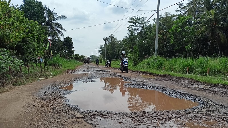 Jalan rusak di Lampung yang viral dan bikin Presiden Jokowi turun tangan. (Foto: Disway)