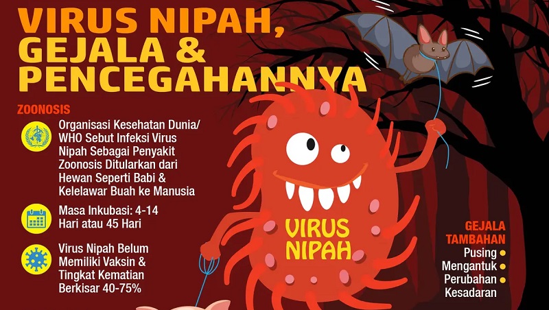 Ilustrasi virus Nipah (Foto :Dok Liputan 6)